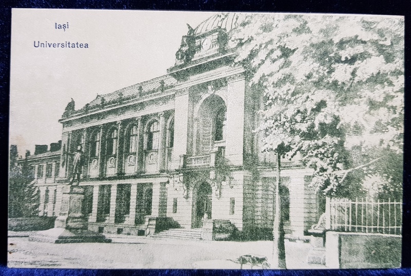 IASI - UNIVERSITATEA , CARTE POSTALA ILUSTRATA , MONOCROMA, NECIRCULATA , - PERIOADA INTERBELICA