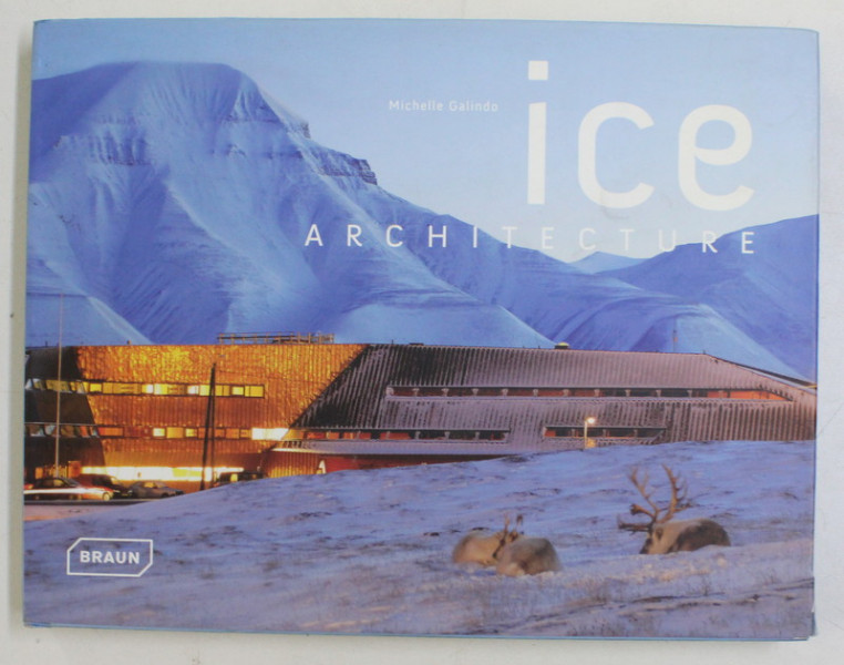 ICE ARCHITECTURE by MICHELLE GALINDO , 2009
