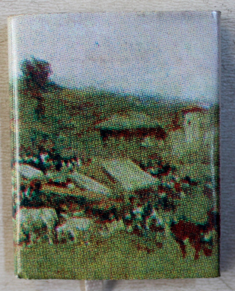 ICOANE DIN CARPATI de ST. O.IOSIF , 1999 , CARTE LILIPUT*