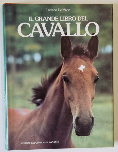 IL GRANDE LIBRO DEL CAVALLO di LUCIANO De MARIA , 1988