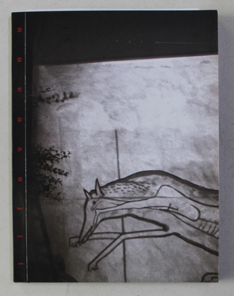 ILFOVEANU -MINI  CATALOG DE EXPOZITIE , texte de RAZVAN THEODORESCU si STEFAN AGOPIAN , EDITIE IN ROMANA SI ENGLEZA , 2000