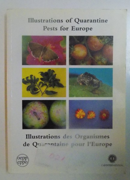 ILLUSTRATIONS OF QUARANTINE , PESTS FOR EUROPE , ILLUSTRATIONS DES ORGANISMES DE QUARANTAINE POUR L'EUROPE , 1996