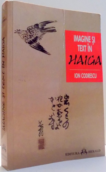 IMAGINE SI TEXT IN HAIGA de ION CODRESCU , 2008
