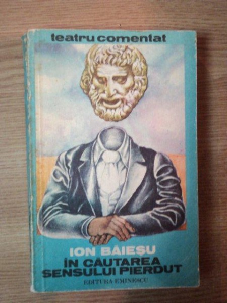 IN CAUTAREA SENSULUI PIERDUT de ION BAIESU
