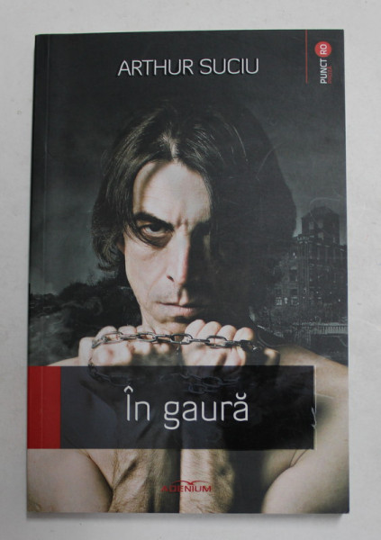 IN GAURA de ARTHUR SUCIU , 2016