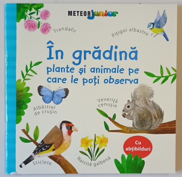 IN GRADINA , PLANTE SI ANIMALE PE CARE LE POTI OBSERVA , text de KATE NOLAN , ilustratii de STEPHANIE FIZER COLEMAN , 2025