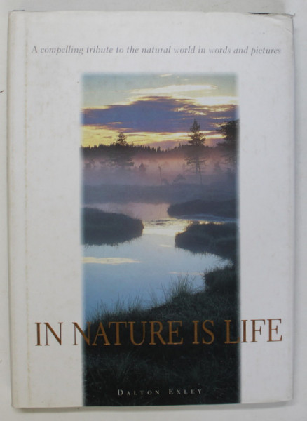 IN NATURE IS LIFE by DALTON EXLEY , 2000