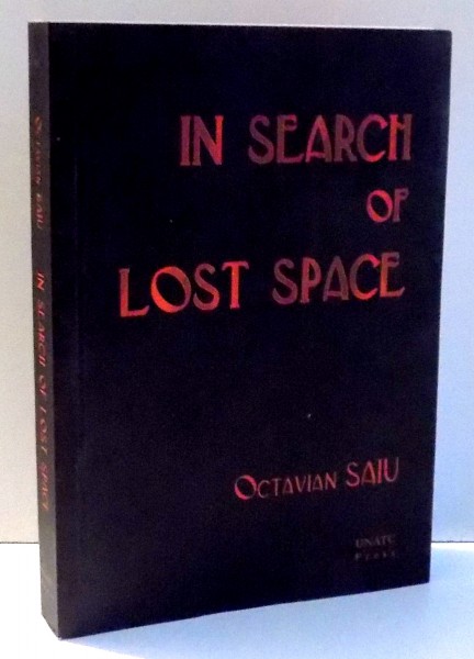 IN SEARCH OF LOST SPACE de OCTAVIAN SAIU , 2010