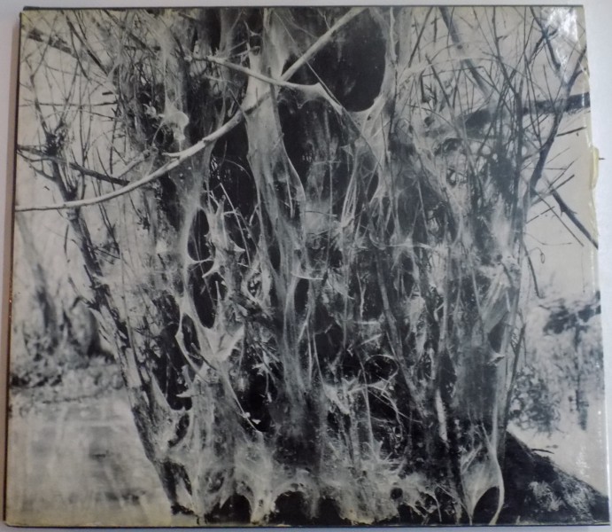 IN THE DANUBE DELTA de DAN GRIGORESCU , 1967