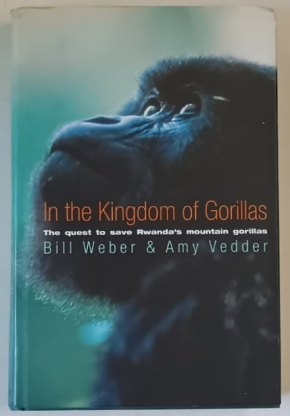 IN THE KINGDOM OF GORILLAS , THE QUEST TO SAVE RWANDA 'S MOUNTAIN GORILLAS by BILL WEBER  and AMY VEDDER , 2002