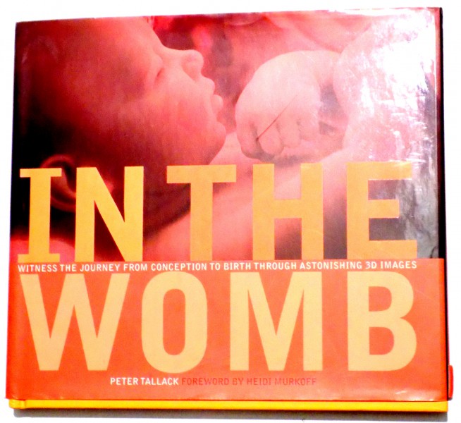 IN THE WOMB - WITNESS THE JOURNEY FROM CONCEPTION TO BIRTH THROUGH ASTONISHING 3D IMAGES by PETER TALLACK , 2006