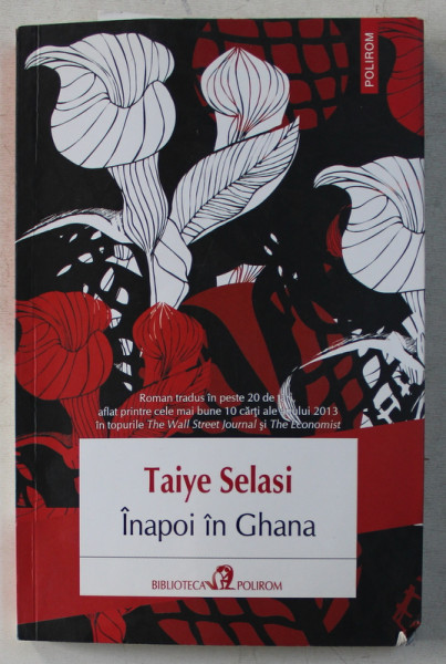 INAPOI IN GHANA de TAIYE SELASI , 2015