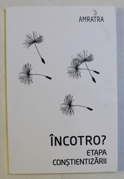 INCOTRO? ETAPA CONSTIENTIZARII de AMRATRA , 2016