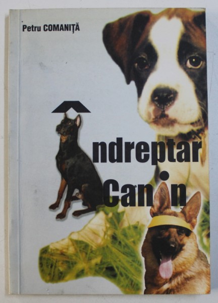 INDREPTAR CANIN de PETRU COMANITA , 1999