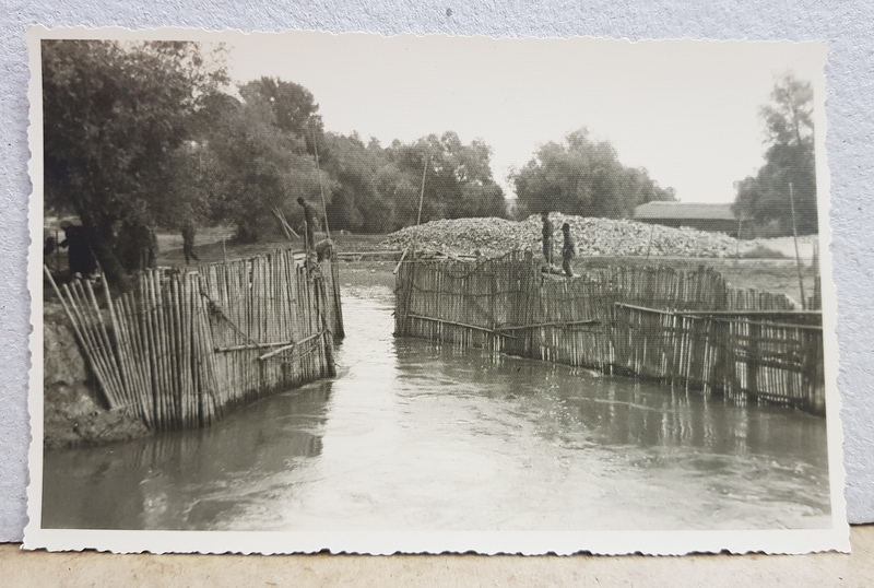 INGRADITURI DIN LEMN PENTRU O AMENAJARE BALTA BRAILEI  , FOTOGRAFIE TIP CARTE POSTALA , MONOCROMA, NECIRCULATA , PERIOADA INTERBELICA