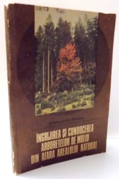 INGRIJIRREA SI CONDUCEREA ARBORETELOR DE MOLID DIN AFARA AREALULUI NATURAL , 1986