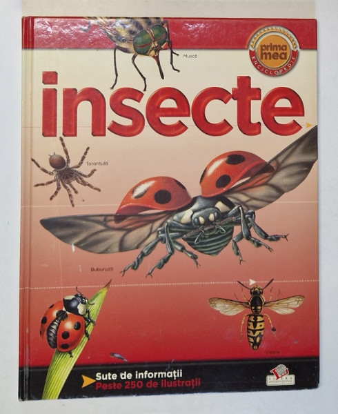 INSECTE de HELEN FLINT , SERIA ' PRIMA MEA ENCICLOPEDIE ' , 2008 * DEFECT COPERTE