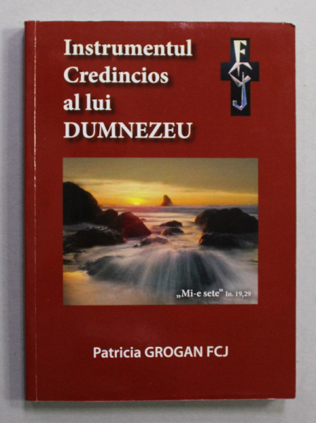 INSTRUMENTUL CREDINCIOS AL LUI DUMNEZEU de PATRICIA GROGAN FCJ , ANII  '2000