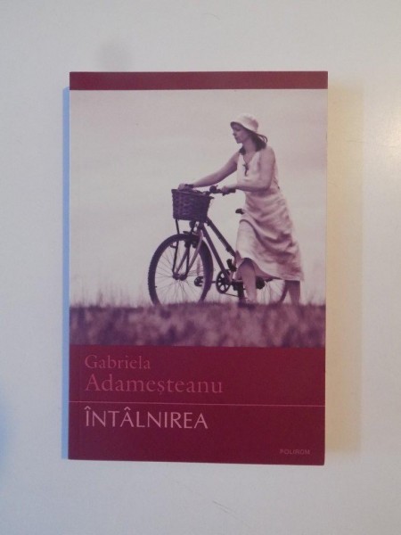 INTALNIREA ED. A - V - A DEFINITIVA de GABRIELA ADAMESTEANU , 2013