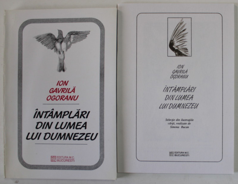 INTAMPLARI DIN LUMEA LUI DUMNEZE de ION GAVRILA OGORANU , 1998 , VOLUMUL CONTINE 20 DE ILUSTRATII de SIMONA BUCAN