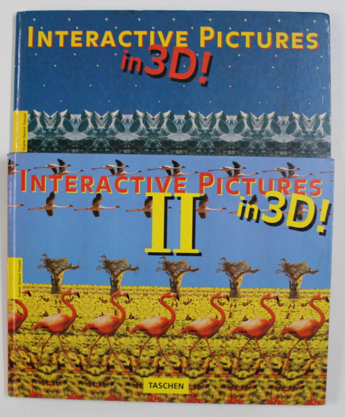 INTERACTIVE PICTURE IN 3 D ! TWO VOLUMES , 1994, TEXT IN ENGLEZA , GERMANA , FRANCEZA