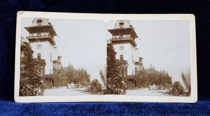 INTRAREA IN GRADINA CASTELULUI PELES , SINAIA , FOTOGRAFIE STEREOSCOPICA , MONOCROMA , PE SUPORT DE CARTON , CCA. 1900