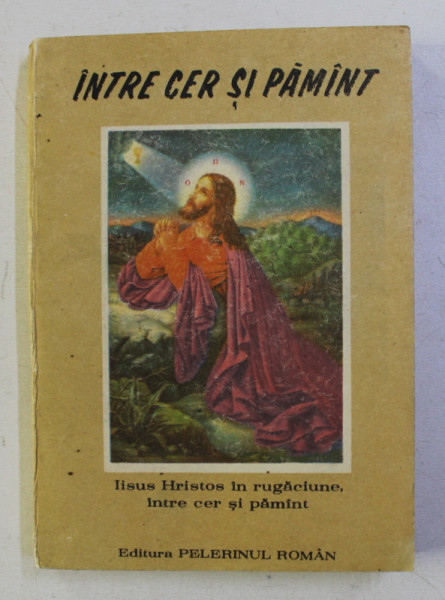 INTRE CER SI PAMANT . MONAHISMUL AGHIORITIC (SF. MUNTE ATHOS) de TEOCLIT DIONISIATUL , 1991