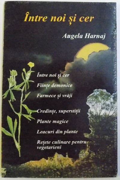 INTRE NOI SI CER de ANGELA HARNAJ