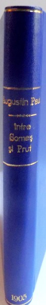 INTRE SOMES SI PRUT de AUGUSTIN PAUL ( DELALETCA ) , 1905