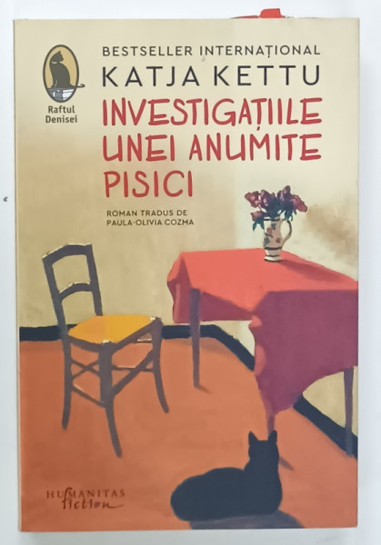 INVESTIGATIILE UNEI ANUMITE PISICI de KATJA  KETTU , 2025