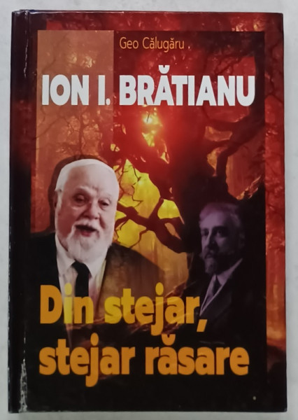 ION I. BRATIANU , DIN STEJAR , STEJAR RASARE de GEO CALUGARU , 2023