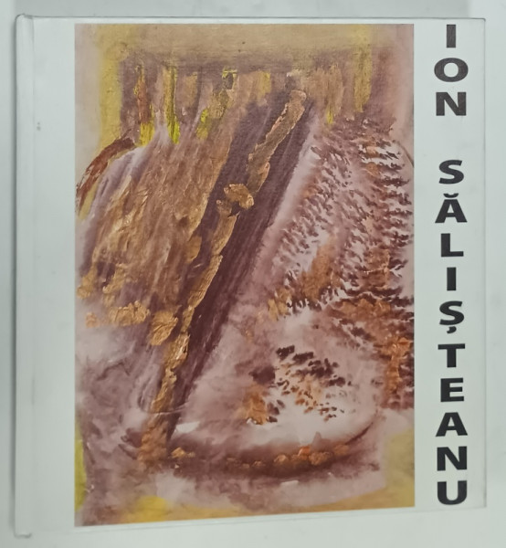 ION SALISTEANU , ALBUM DE ARTA , ANII '2000