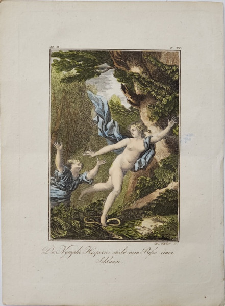 JOSEPH STOBER 1768- 1852 ,  '' NIMFA HESPERIES FUGE DE SARPE " , GRAVURA , INCEPUTUL SEC. XIX