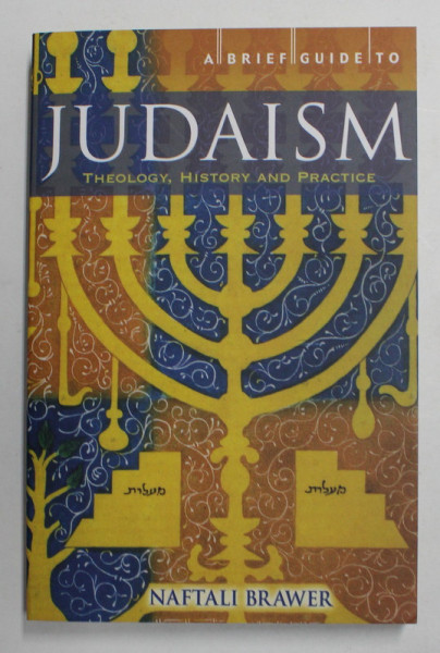 JUDAISM - THEOLOGY , HISTORY AND PRACTICE - A BREIF GUIDE by NAFTALI BRAWER , 2008