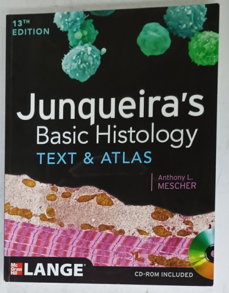 JUNQUEIRA 'S BASIC HISTOLOGY , TEXT and ATLAS by ANTHONY L. MESCHER , CD - ROM INCLUDED , 2013