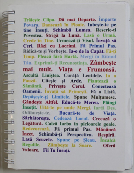JURNAL DE VISURI , OBIECTIVE SI VOIE BUNA , AGENDA - JURNAL de OANA STOICIU , ANII '2000