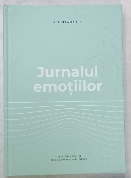 JURNALUL EMOTIILOR de ANDREEA RAICU , ANII '2000