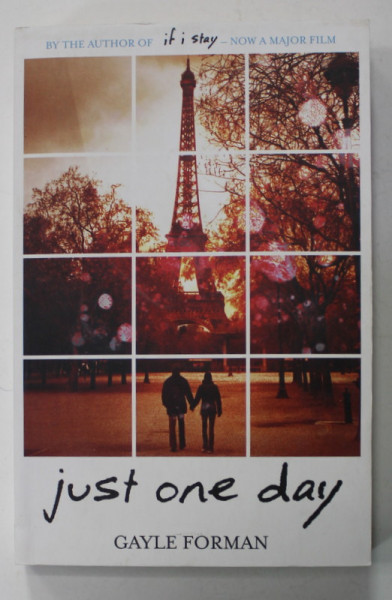 JUST ONE DAY by GAYLE FORMAN , 2013