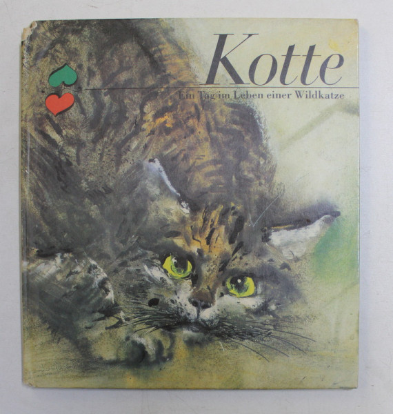 KOTTE , EIN TAG IM LEBEN EINER WILDKATZE , 1985