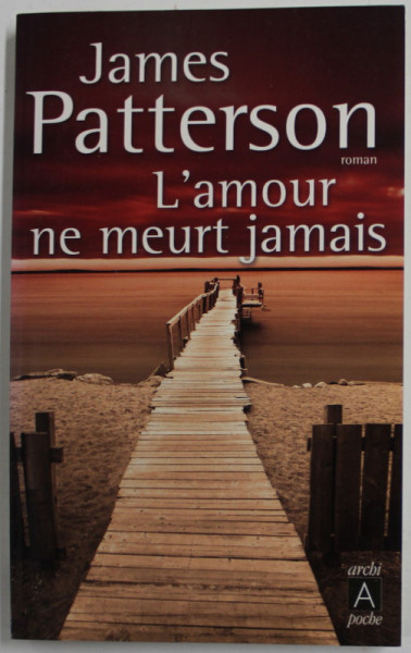 L ' AMOUR NE MEURT JAMAIS par JAMES PATTERSON , 2007