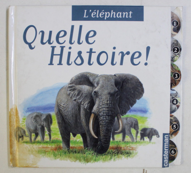 L 'ELEPHANT , texte de CHRISTINE LAZIER , illustrations de JEAN  - MARIE POISSENOT , 2001
