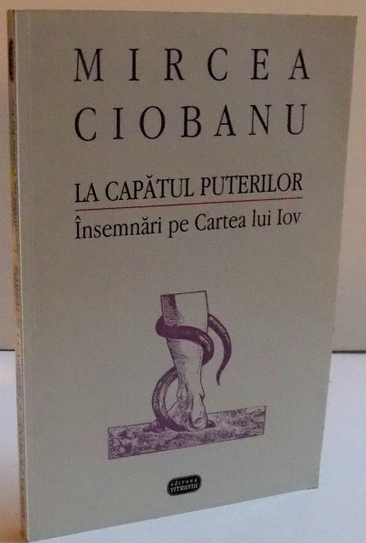 LA CAPATUL PUTERILOR , INSEMNARI PE CARTEA LUI IOV de MIRCEA CIOBANU , 1997