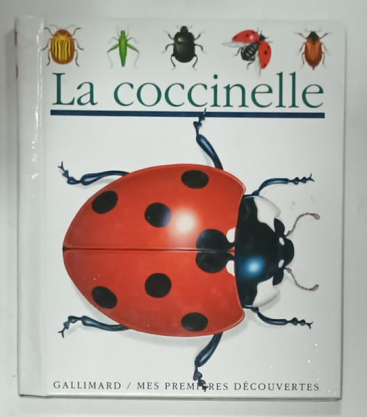 LA COCCINELLE , illustre par SYLVAINE PEROLS , 1992
