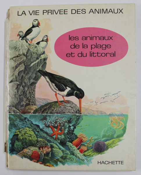 LA VIE PRIVEE DES ANIMAUX - LES ANIMAUX DE LA PLAGE ET DU LITORAL par RINALDO D.D. 'AMI , 1969