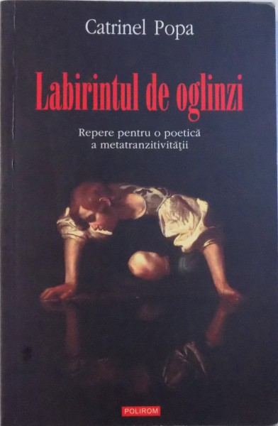 LABIRINTUL DE OGLINZI  - REPERE PENTRU O POETICA A METATRANZITIVITATII de CATRINEL POPA , 2007 * DEFECT COPERTA