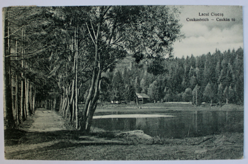 LACUL CIUCAS  - BAILE TUSNAD  - CARTE POSTALA ILUSTRATA , MONOCROMA, CIRCULATA , DATATA 1924