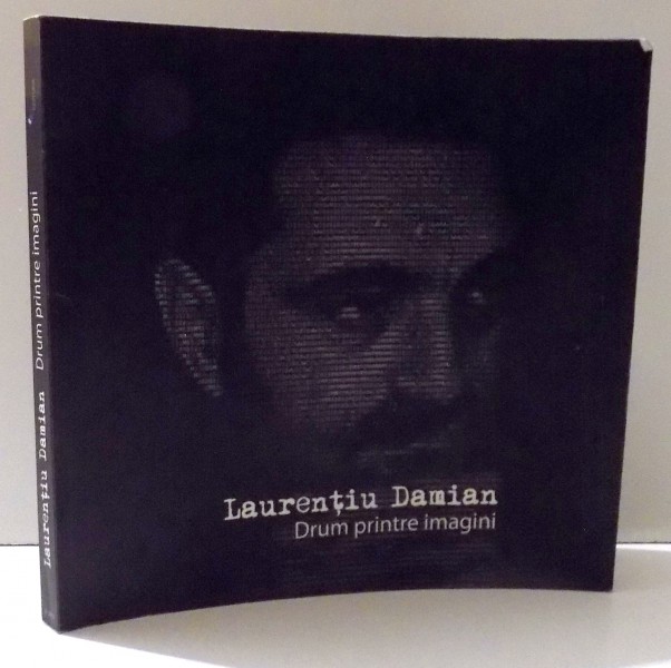 LAURENTIU DAMIAN - DRUM PRINTRE IMAGINI, 2012