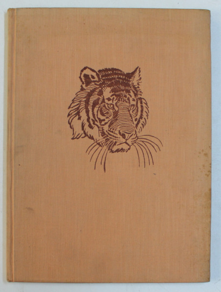 LE CHAT ET SA FAMILLE par V.J. STANEK , 1958