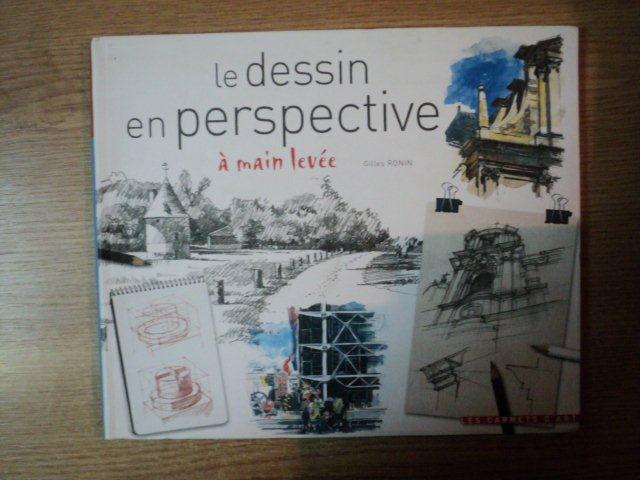 LE DESSIN EN PERSPECTIVE A MAIN LEVEE par GILLES RONIN