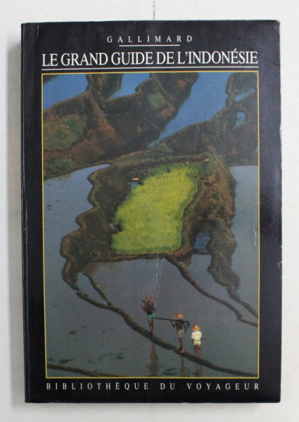 LE GRAND GUIDE DE L 'INDONESIE , 1991
